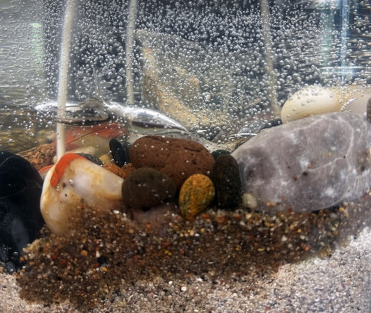 Handcrafted Lake Michigan Pudding and Petoskey Stone Candle 8 lbs